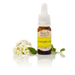 Bach elsősegély csepp 30ml
