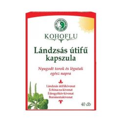 Dr.Chen Kohoflu Lándzsás útifű kapszula - 40db