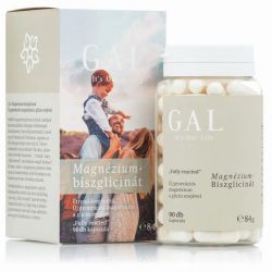 GAL Magnézium-biszglicinát kapszula 90db